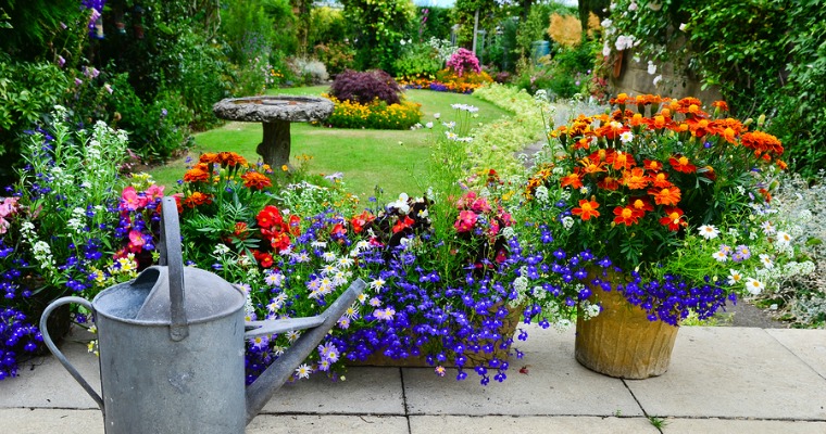 Tips To Improve Your Patio Garden