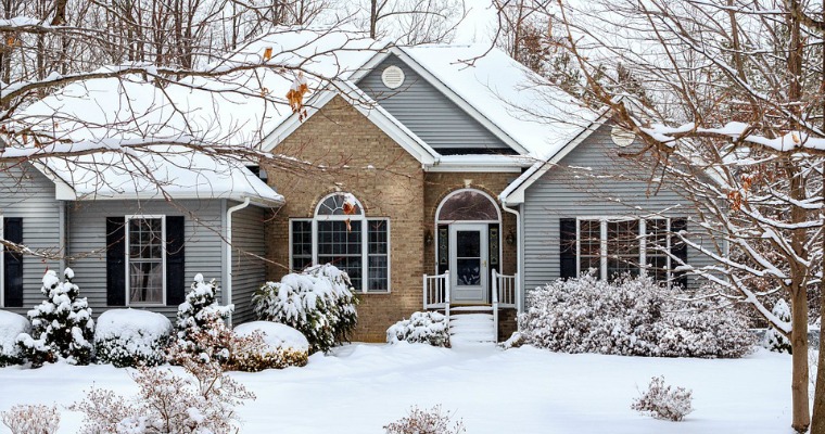 How to Prepare Your Landscape for a Cold Snap