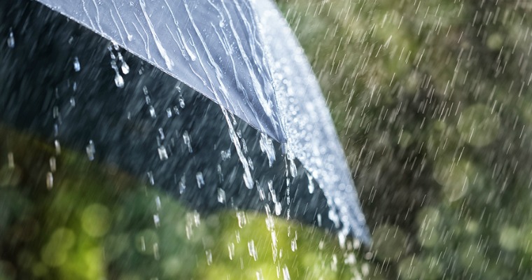 How to Protect Your Garden from Heavy Rain