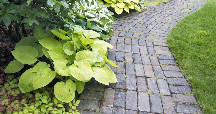 How to Prevent Grass from Growing Between Brick Pavers