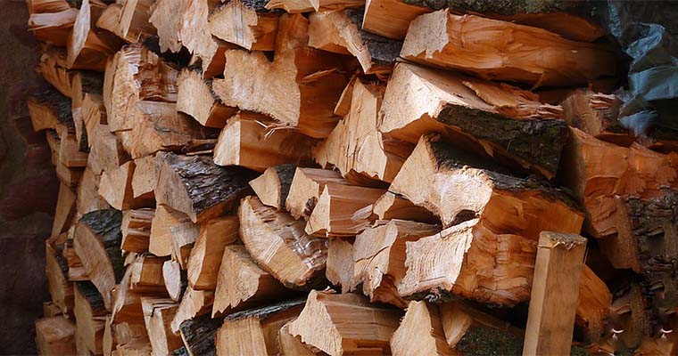 How to Season Your Firewood (The Right Way)