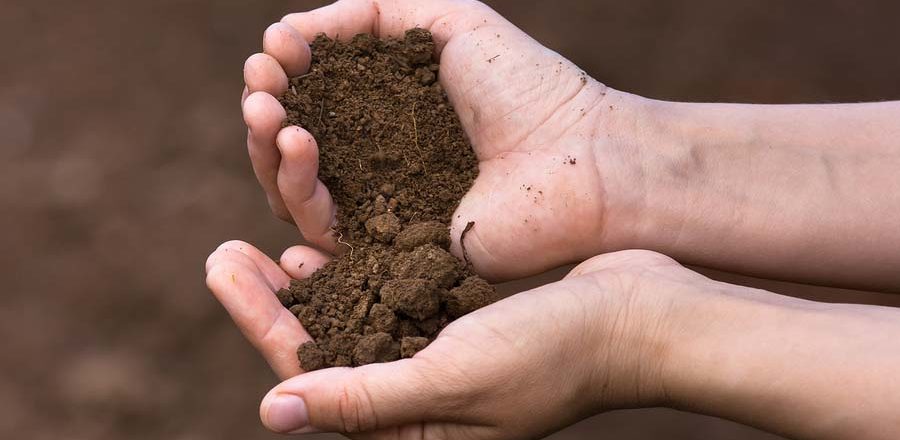 5 Tips on Using Topsoil in Your Landscape