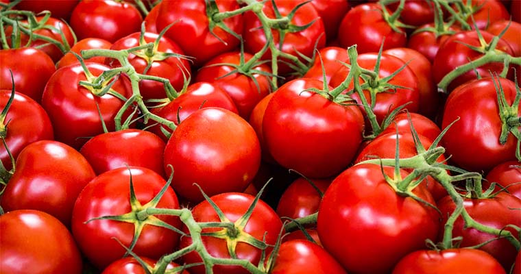 5 Simple Tips to Grow Bigger Tomatoes